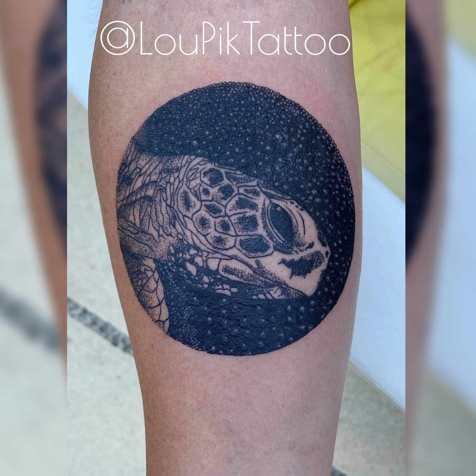 Tatouage réaliste sur un avant-bras Tatouage réaliste sur un avant-bras